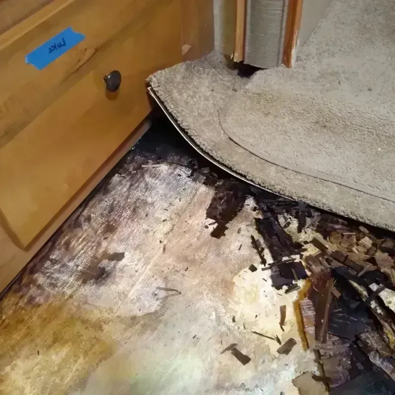 Wood Floor Water Damage in Cottage City, MD